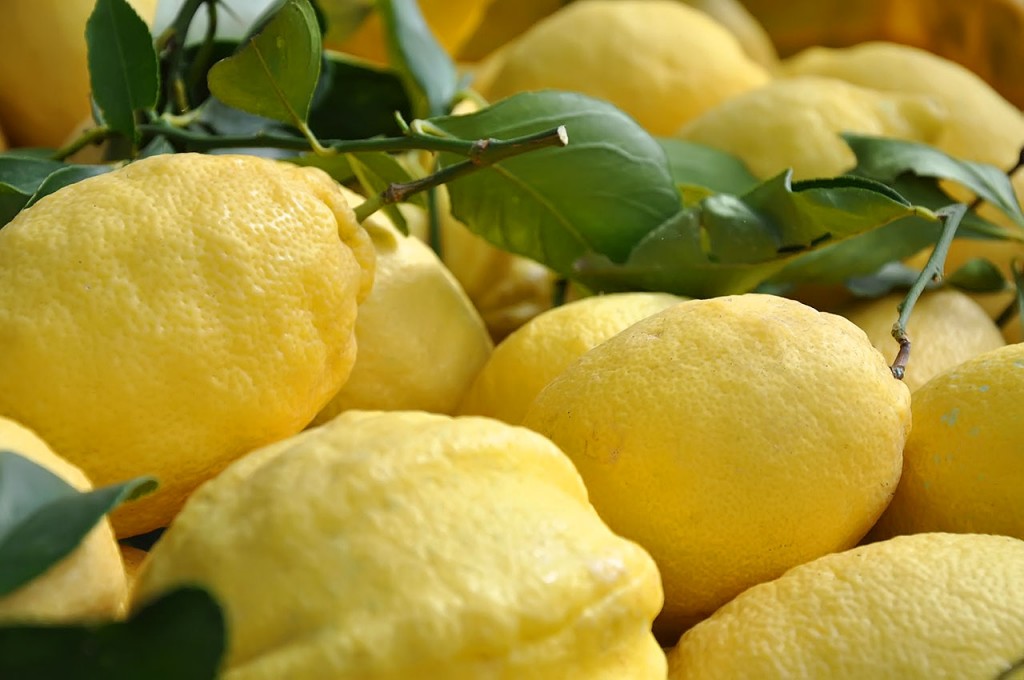 limoni-di-amalfi