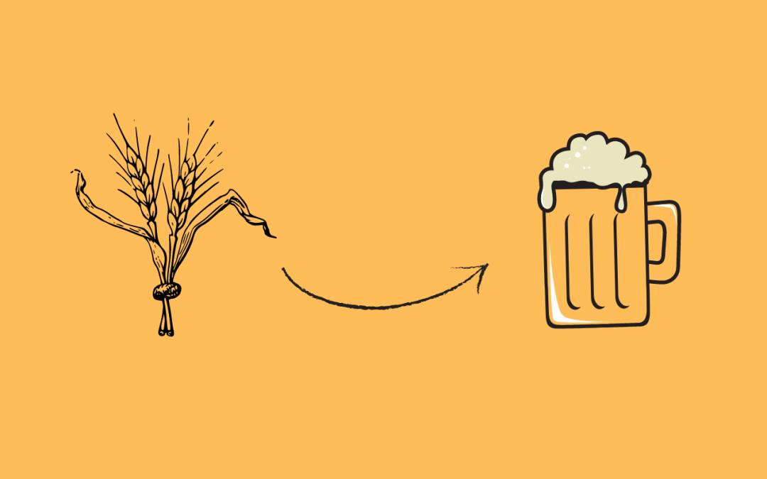 Come si fa la birra: viaggio attraverso il processo produttivo della birra
